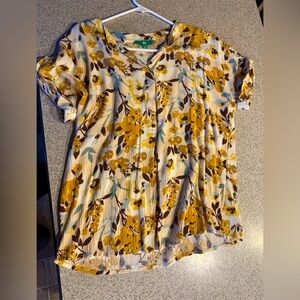 Brand new ladies’ top